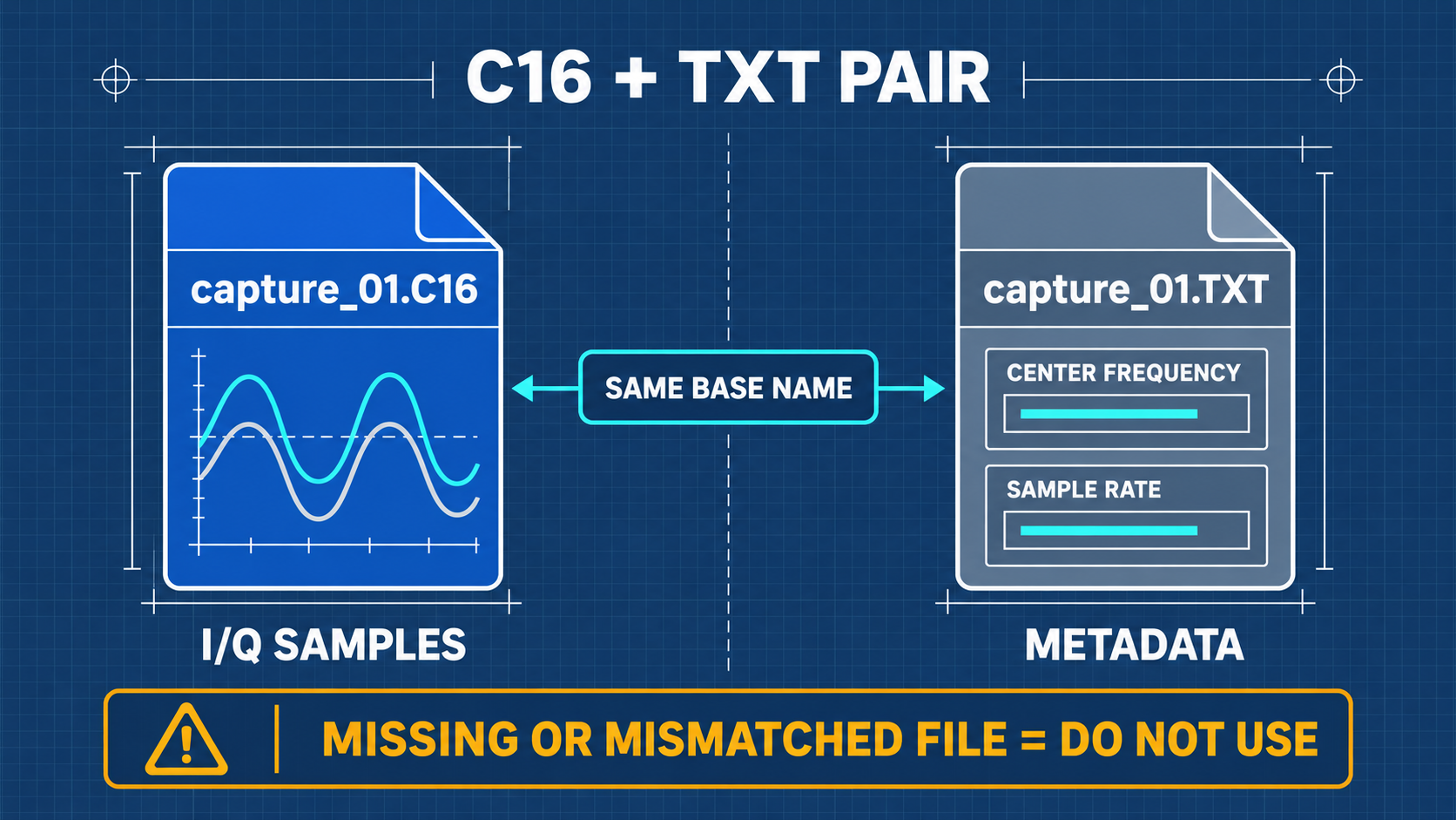 C16 Raw Binary and TXT Metadata Paired Structure